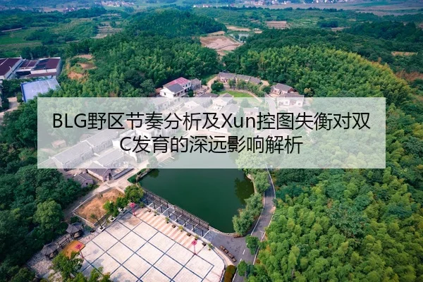 BLG野区节奏分析及Xun控图失衡对双C发育的深远影响解析